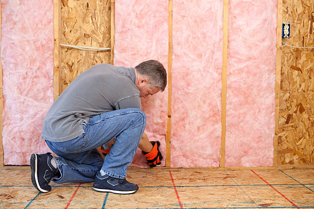 Best Cellulose Insulation in Jericho, NY